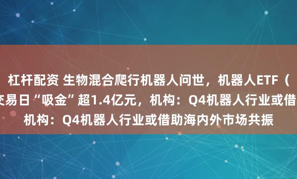 杠杆配资 生物混合爬行机器人问世，机器人ETF（159770）近3个交易日“吸金”超1.4亿元，机构：Q4机器人行业或借助海内外市场共振