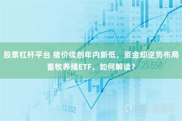 股票杠杆平台 猪价续创年内新低，资金却逆势布局畜牧养殖ETF，如何解读？