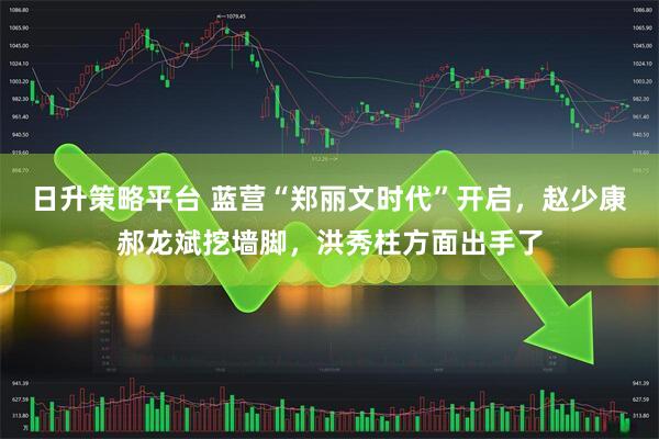 日升策略平台 蓝营“郑丽文时代”开启，赵少康郝龙斌挖墙脚，洪秀柱方面出手了