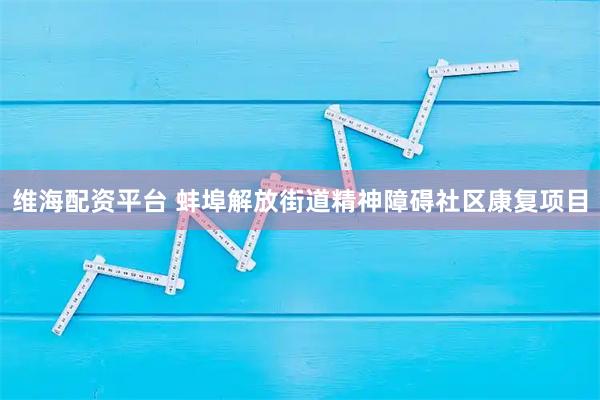 维海配资平台 蚌埠解放街道精神障碍社区康复项目