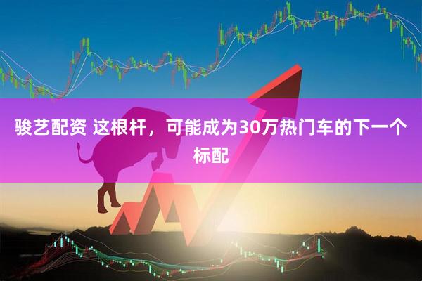 骏艺配资 这根杆，可能成为30万热门车的下一个标配